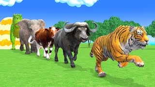 Long Slide Game With Elephant Gorilla Buffalo Hippopotamus Tiger  3d Animal Game  Funny 3d Animals [upl. by Atnuahc193]