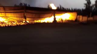 Fire at Golden Frontiers Citrus in Hectorspruit [upl. by Pravit]