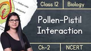 Class 12  Pollen Pistil Interaction  NCERT [upl. by Alyehc475]