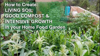 Create Living Soil Good Compost amp Intensive Growth in your home garden [upl. by Remliw]