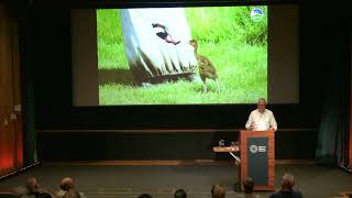 Avian Odyssey 2024 at the Natural History Museum London [upl. by Hall710]