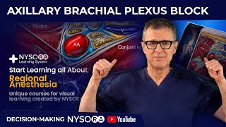 Axillary Plexus Block Decision Making Crash course with Dr Hadzic [upl. by Ppik]