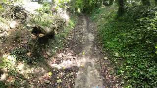 Byway Tree Clearing Near Etchinghill Golf Course [upl. by Llij]