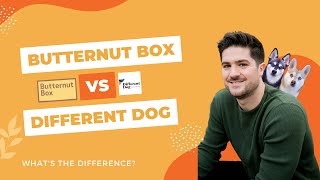 Butternut Box Vs Different Dog Whats The Difference  Tried amp Tested  Our Honest Review [upl. by Enelad]