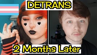 My 2Month Detransition What’s Changed [upl. by Yniattirb452]