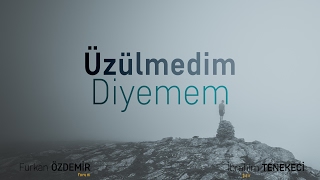 İbrahim Tenekeci  Üzülmedim Diyemem [upl. by Obellia725]