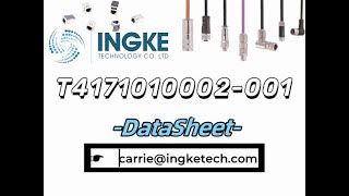 T4171010002001 DataSheet  ingketechnet [upl. by Anivlek]