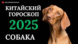 СОБАКА 2025  ПОДРОБНЫЙ КИТАЙСКИЙ ГОРОСКОП НА 2025 ГОД [upl. by Zoldi]