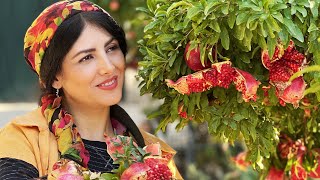 40 Autumn Routine Life of a Country Woman Cooking Pomegranate Chicken Stew Slow Village Life Iran [upl. by Veronika]