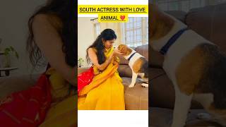 sai pallavi ❤️😺 south actores love animals shots video [upl. by Babbie867]