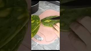 Comida Económica chuletas en salsa tatemada con nopales parati fypシ゚ viral food [upl. by Menell]