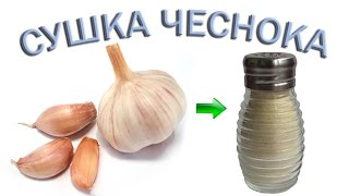 Сушка чеснока Приготовление чесночного порошка [upl. by Ardekahs936]