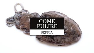 Come pulire la seppia  Le Tecniche  La Cucina Italiana [upl. by Eneladgam]