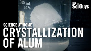 The Sci Guys Science at Home  SE1  EP6 Crystallization of Alum  How to Grow Alum Crystals [upl. by Nyrat]