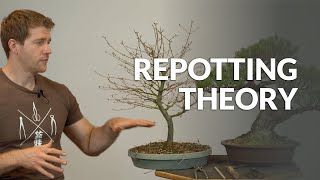 Repotting theory and Bonsai substrate explained [upl. by Therine]