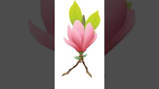 Magnolia Flower Illustration Story adobeillustrator nature [upl. by Eirek250]