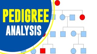 Pedigree analysis [upl. by Paff]