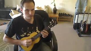 Beverly hills cop theme on the ukulele [upl. by Cherise]