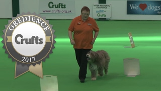 InterRegional Rally  Level 4  Part 2  Crufts 2017 [upl. by Berriman]