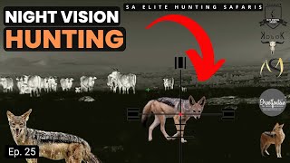 MULTIPLE IMPACT SHOTS  Night Varmint Hunting Jackal amp Porcupine amp Bushpig South Africa [upl. by Gass]