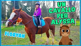 Un VERO cavallo per Alyssa 🐎 [upl. by Derfliw701]