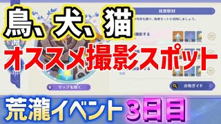 【鳥2種類、犬2種類、猫2種類】オススメ写真撮影場所「荒瀧・生命のロックイリデッセンスビッグツアー」 イベント3日目 背景取材 稲妻 ver46攻略 原神 [upl. by Reed408]