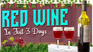 Red Wine In 3 Days  Grape Wine Recipe  How To Make Grape Wine At Home  Grape Wine Making At Home [upl. by Nnylirehs18]