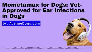 Mometamax for Dogs VetApproved for Ear Infections in Dogs [upl. by Aita]