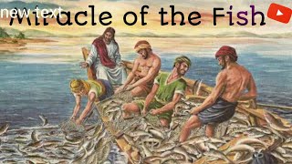 The Miracle of the Fish I Jesus heapls Catching Fishes I GIG I New Christian songs I [upl. by Margarethe235]