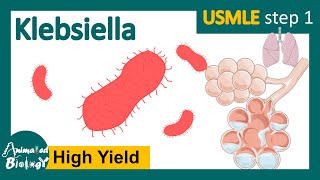 Klebsiella  klebsiella pneumoniae  clinical presentation risk factors and treatment of Klebsiella [upl. by Christensen]