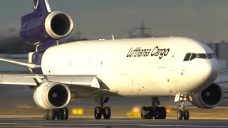 THE LAST ACTIVE MD11 s of Lufthansa Cargo  MD11 DEPARTURE during perfect light 4K [upl. by Bennion996]