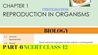 Part6 REPRODUCTION IN ORGANISMS chapter1 NCERT class 12th biology [upl. by Hubing]