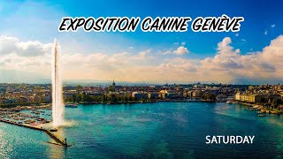 EXPOSITIONS CANINES GENÉVE 2023  SATURDAY [upl. by Cybill43]