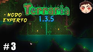 Terraria Experto T6 Ep 3  ¡BIENVENIDOS A LA JUNGLA [upl. by Leziar954]