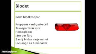 Blodets innehåll [upl. by Lukas170]