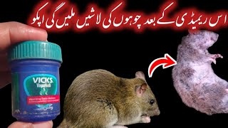 Quick rat killer  rat trap  rat killer rat poison home remedies  kitchen Tips [upl. by Lorak86]