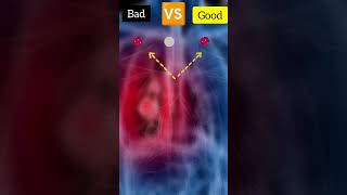 lungs test  lungs dises  viral feetness viral test [upl. by Nlycaj]