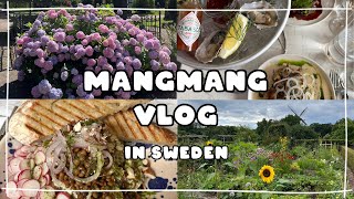 🇸🇪Vlog  스웨덴 말뫼 여행 브이로그 브런치 맛집 뷰맛집 도서관 마트 구경하기 정원 투어🍀 [upl. by Eilerua]