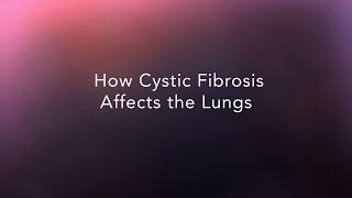 How Cystic Fibrosis Affects the Lungs [upl. by Isayg]