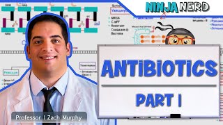 Antibiotics Cell Wall Synthesis Inhibitors Part 1 [upl. by Euqimod]