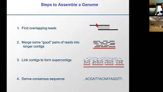 MIT CompBio Lecture 18  Genome Assembly Evolution Duplication [upl. by Bernat149]