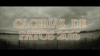 CACERIAS DE PATOS 2016 [upl. by Deloria853]