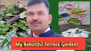 My Beautiful Terrace Garden माझे सुंदर टेरेस गार्डन My Vlog Gardening Beautiful Flowers [upl. by Yerd]