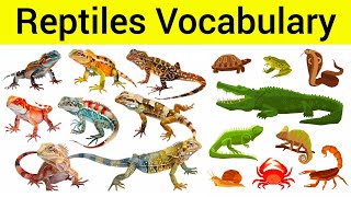 Reptiles Vocabulary  Reptiles Name in English  English Learning [upl. by Nathanson]