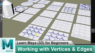 Working With Vertices amp Edges in Maya 2018  Learn Maya 3d Animation For Beginners Tutorials 76 [upl. by Ardiek]