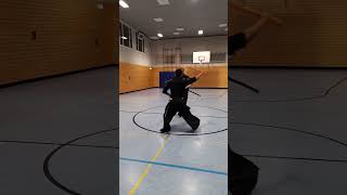 Katana schnell ziehen  Übung  Battojutsu Bunkai [upl. by Nitneuq]