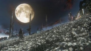 Bloodborne  Final bosses and Childhoods Beginning ending New game plus [upl. by Eenat]