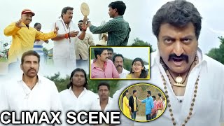 Krishna Babu Telugu Movie Scenes  Balakrishna Arranging Marriage Looks To Raasi  Meena [upl. by Mario]