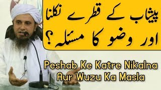 Peshab Ke Katre Nikalna Aur Wuzu Ka Masla  Mufti Tariq Masood  Islamic Group [upl. by Rola]