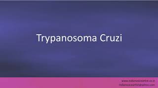 Pronunciation of the words quotTrypanosoma Cruziquot [upl. by Prior]